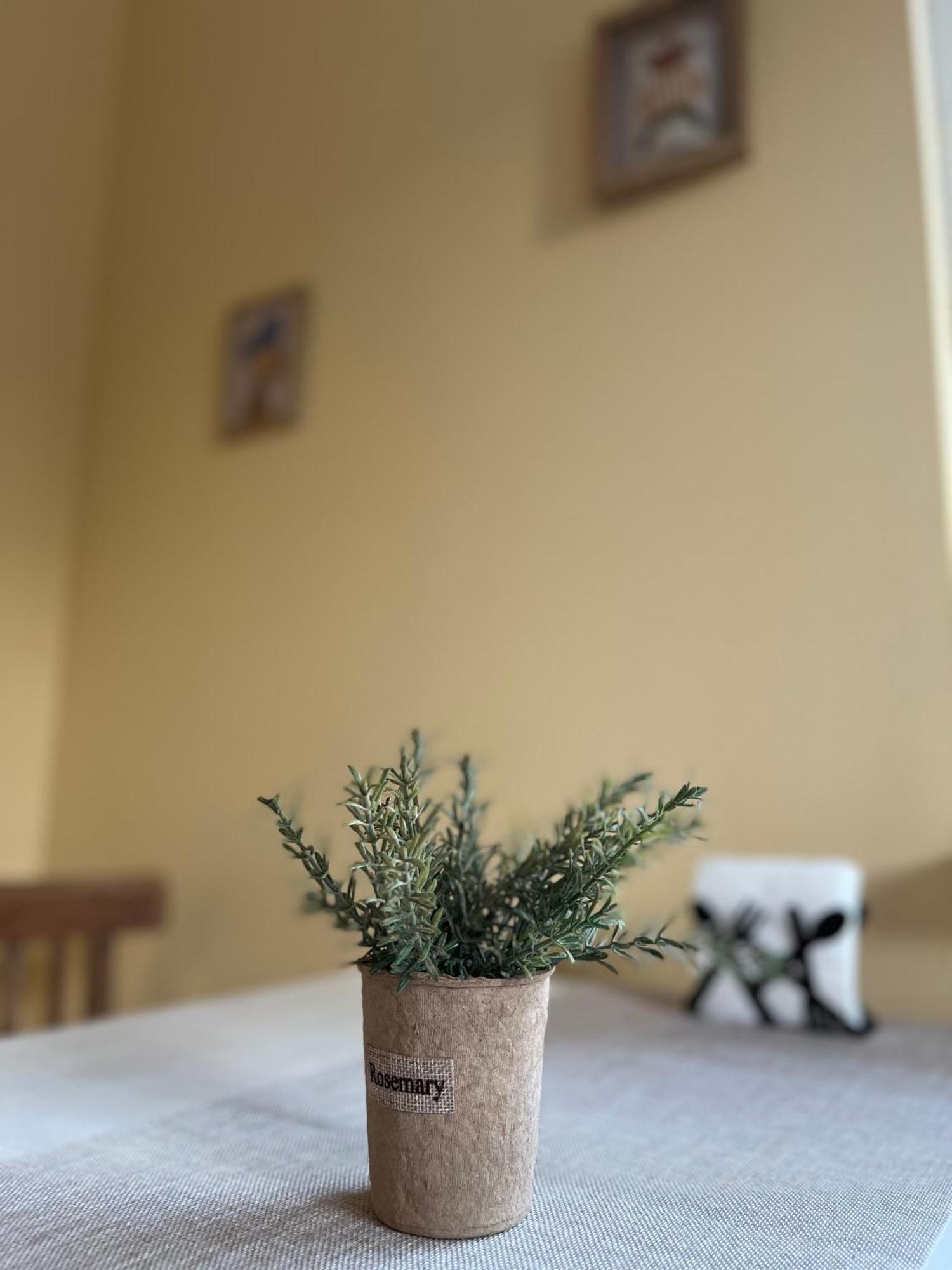 Cute And Cozy Flat Appartamento